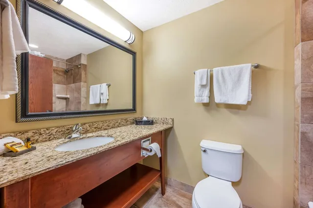جناح بسرير كينج مع أريكة، Best Western Plus Grand Island Inn & Suites 4/4