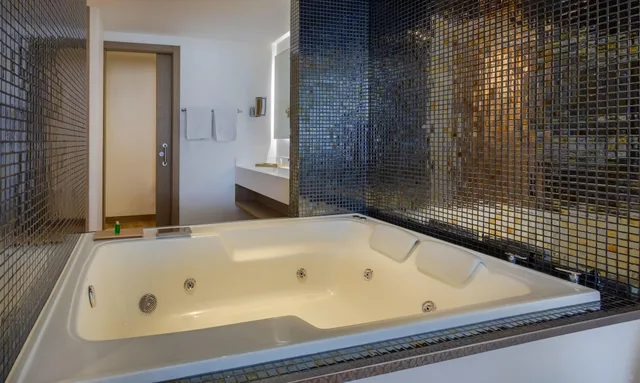 جناح جونيور بحوض جاكوزي، Biohotel Organic Suites 10/10