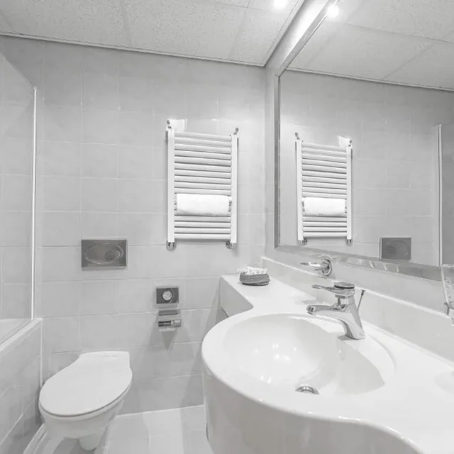 غرفة تنفيذية تنفيذية بسرير مزدوج مع دخول الصالة، Cosmopolitan Bobycentrum - Czech Leading Hotels 5/6