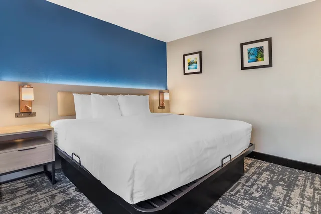 جناح بسرير كينج، Comfort Inn and Suites Madison Airport 1/4