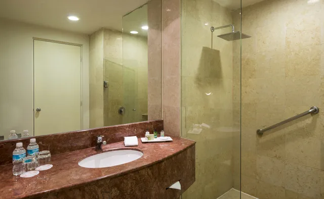 غرفة ديلوكس بسرير كينج، Real Inn San Luis Potosi 4/4