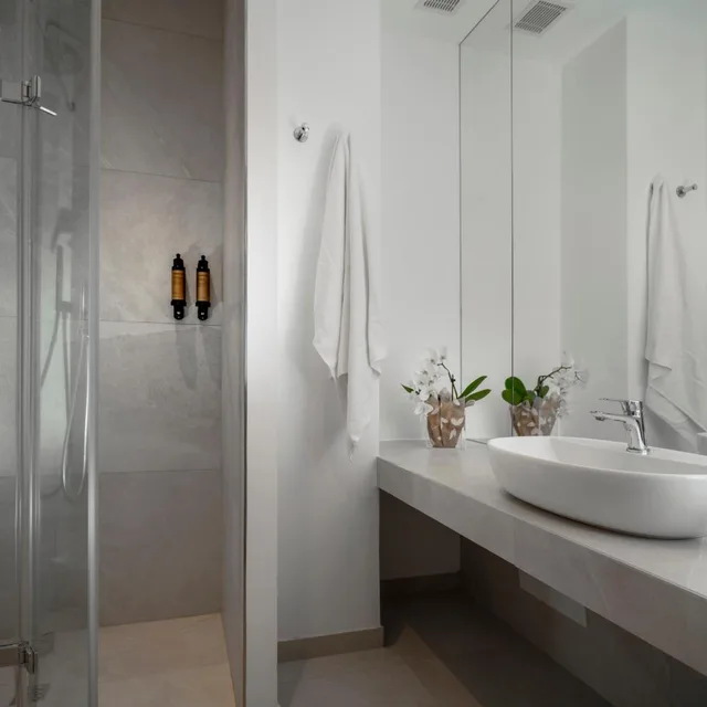غرفة سوبيريور بسرير مزدوج أو سريرين منفصلين، The Regent Boutique Hotel & Spa 4/4