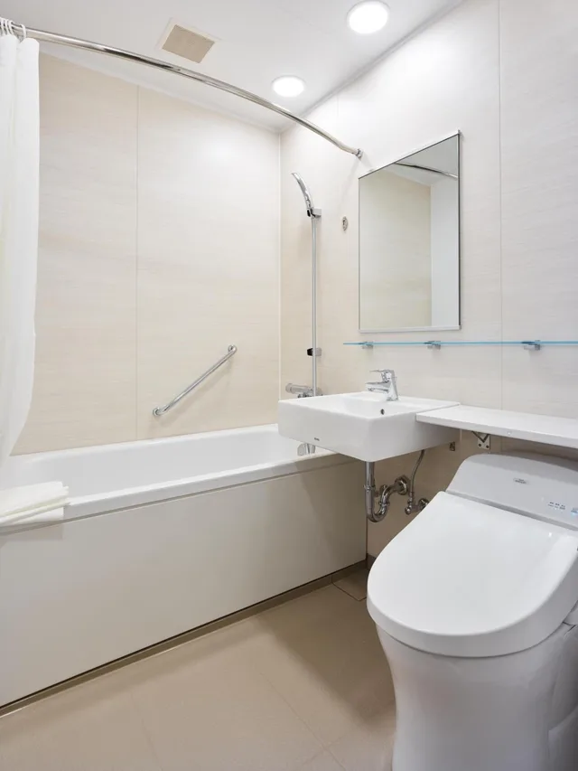 Moderate, Double Bed، Mitsui Garden Hotel Otemachi 2/3