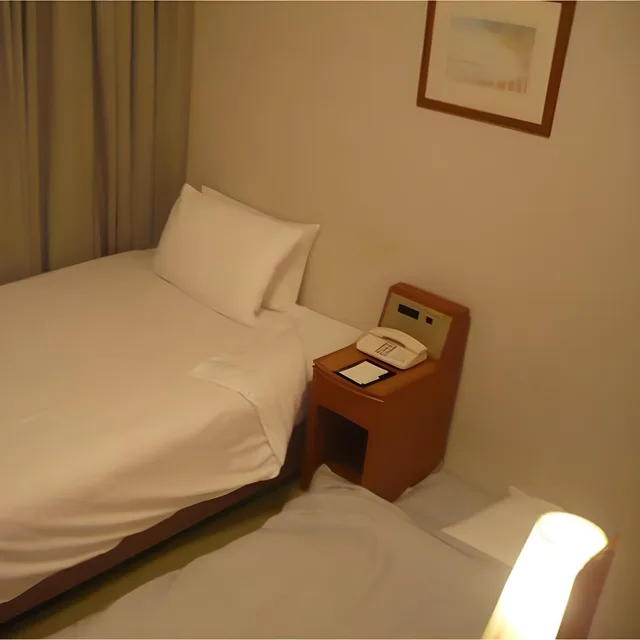 Japanese Western, Japanese, Plus, Single, Hotel Tetora Otsu Kyoto 1/1