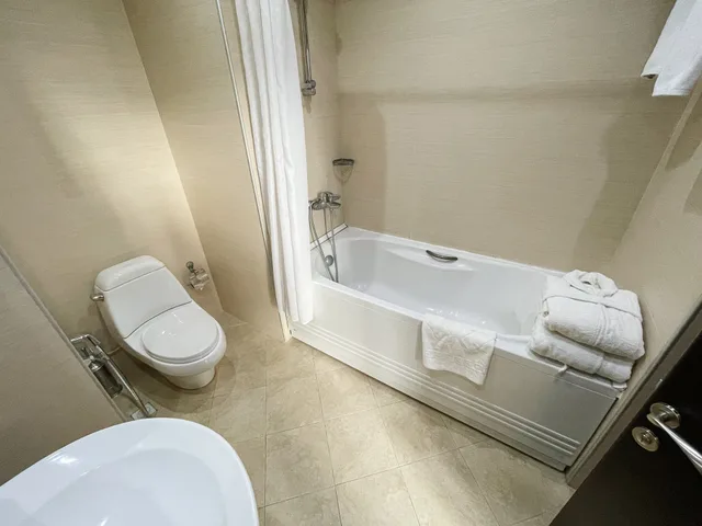 غرفة ديلوكس بسرير مزدوج، Austin Hotel Baku 8/8