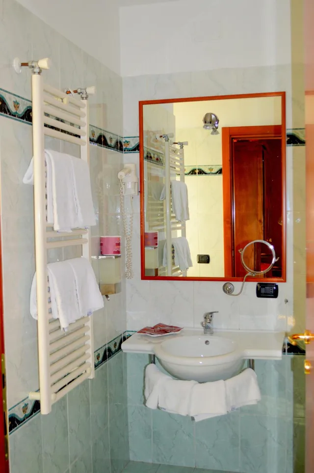 غرفة مفردة، Hotel Shasa Roma 4/4