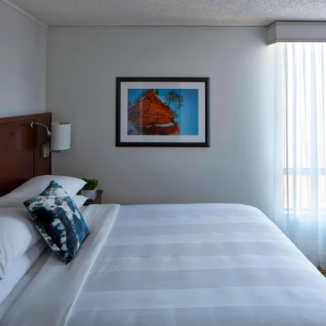 غرفة بسرير كينج بحوض استحمام لذوي الإعاقة، Minneapolis Marriott Southwest 3/5
