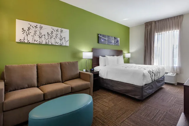 جناح بسرير كينج مع أريكة، Sleep Inn & Suites Tampa South 3/5
