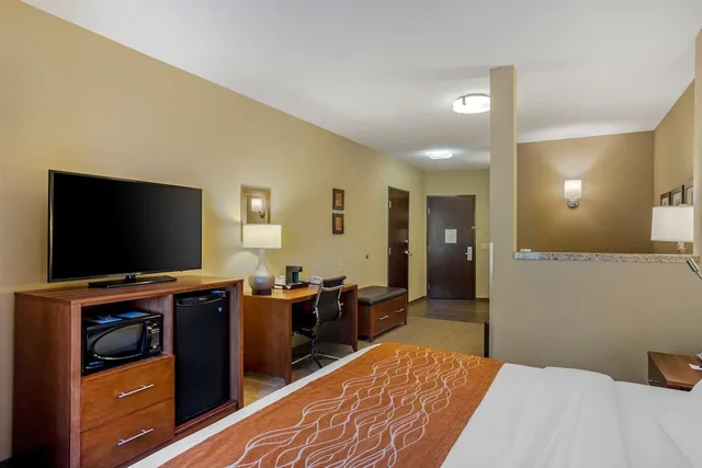 جناح بسرير كينج مع أريكة، Comfort Inn & Suites Sayre, PA 9/10