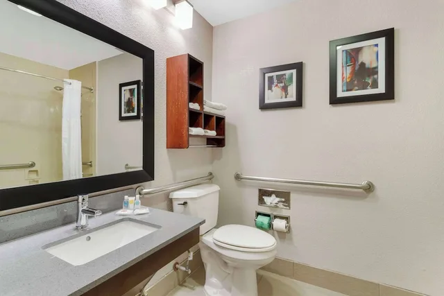 جناح بسرير كينج لذوي الإعاقة، Comfort Suites Shenandoah-The Woodlands 4/5