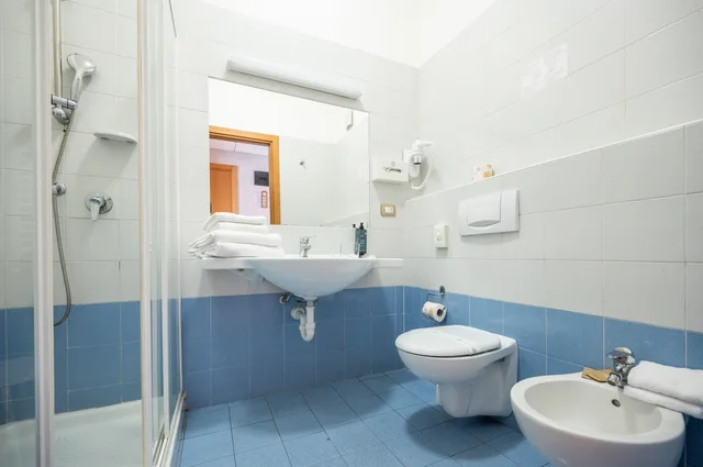 غرفة كومفورت مفردة بسرير مزدوج، Hotel Miramonti 6/8