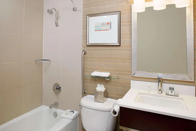 غرفة بسرير مزدوج لذوي الإعاقة، DoubleTree by Hilton Hotel Baltimore - BWI Airport 2/2