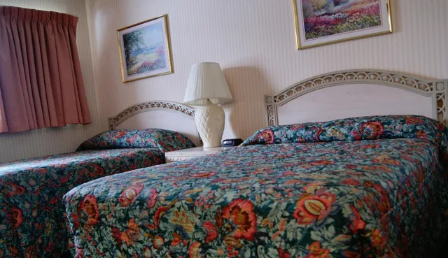 غرفة بسريرين مزدوجين، Meadow Court Inn 1/3