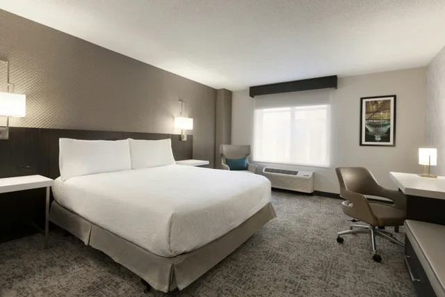 غرفة بسرير كينج بحوض استحمام لذوي الإعاقة، Hilton Garden Inn Washington Dc Downtown 2/4