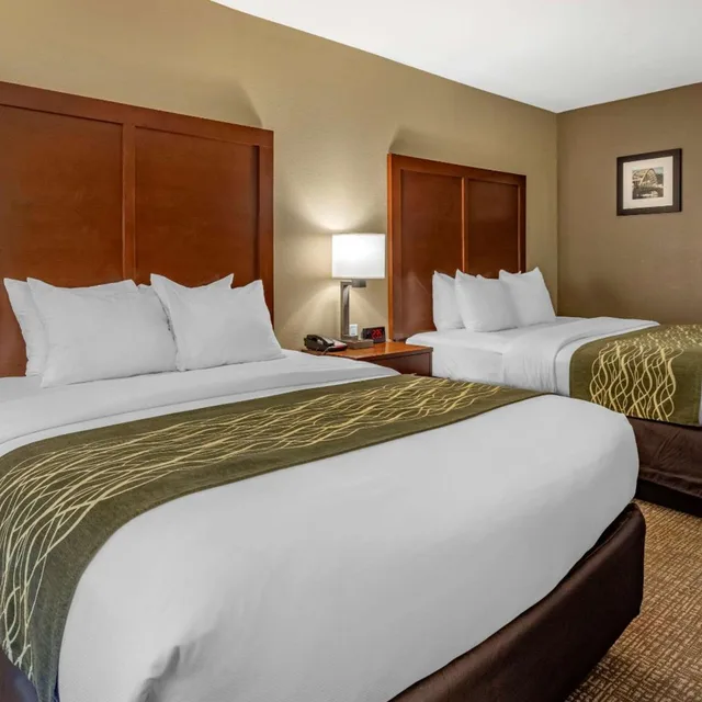 جناح بسريرين كوين لذوي الإعاقة، Comfort Inn & Suites 2/5