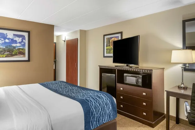 غرفة قياسية بسرير كينج لذوي الإعاقة، Comfort Inn Grand Rapids Airport 1/5