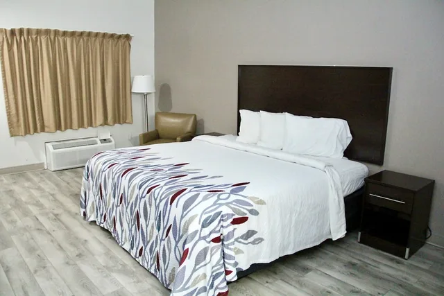 Superior, King Bed, Red Roof Inn & Suites Lake Orion/Auburn Hills 3/8