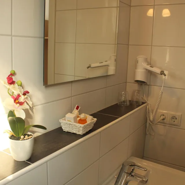 غرفة مفردة، Hotel am Wintergarten 6/6
