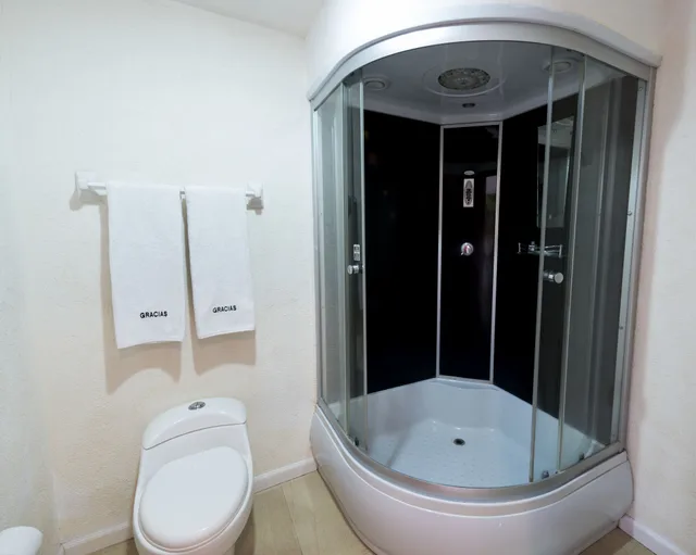 غرفة قياسية بسريرين مزدوجين، Zar Queretaro Hotel 5/5