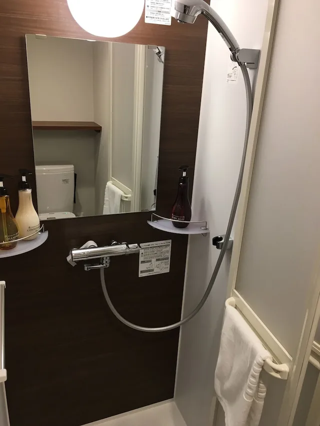 Room, Queen Bed, Myojin no Yu Dormy Inn Premium Kanda 10/10