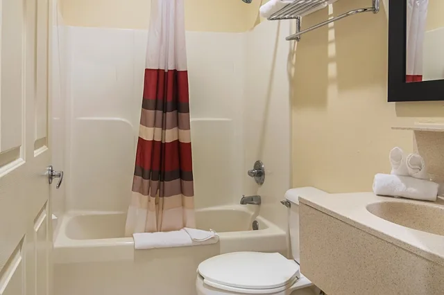 Superior, King Bed, Red Roof Inn & Suites Lake Orion/Auburn Hills 6/8