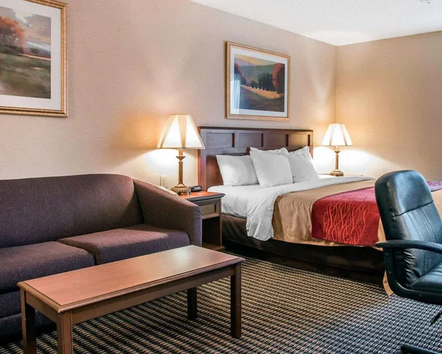 Upgrade, King Bed، Wingate by Wyndham Livonia 3/3