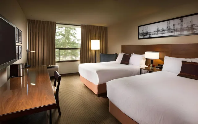 Premium, Deluxe, 2 Double Beds, Hotel 116 Coast Bellevue Hotel 2/2