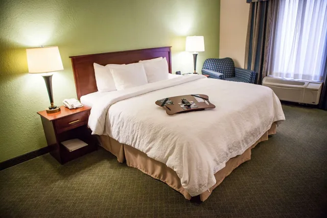 Deluxe, Suite, King Bed, Hampton Inn And Suites Springfield Southwest 1/2