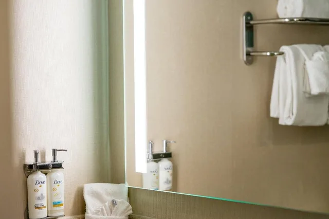 غرفة قياسية بسرير كينج لذوي الإعاقة، Holiday Inn Nashville-Vanderbilt (Dwtn) 2/3