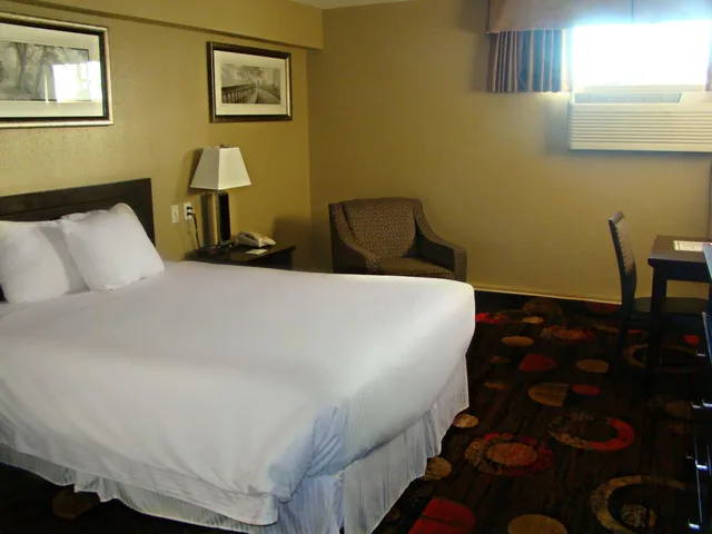 غرفة ديلوكس مفردة، Stonebridge Hotel 5/20