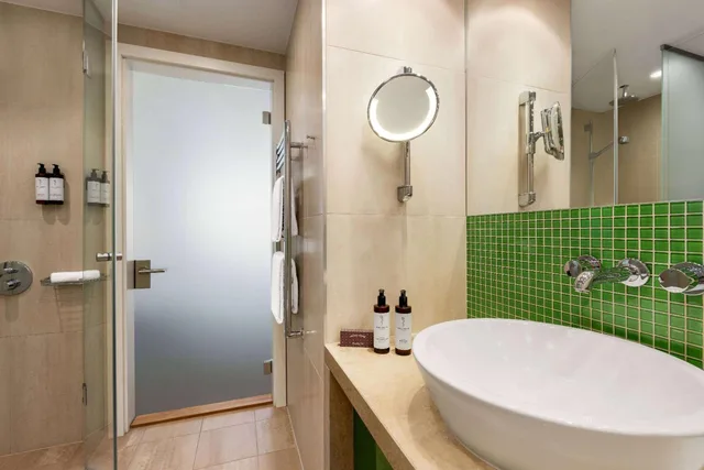 Roof Top, Apartment, Double Bed، Andels Prague 3/5