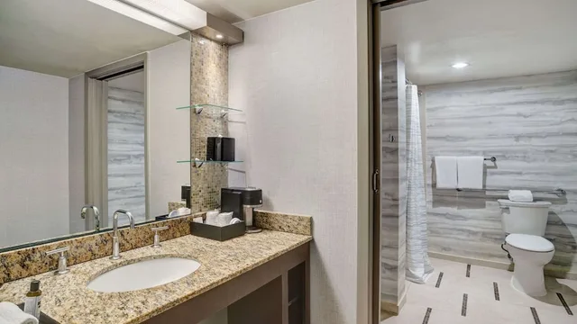 غرفة بسرير كينج لذوي الإعاقة، Hyatt Regency DFW International Airport 4/10