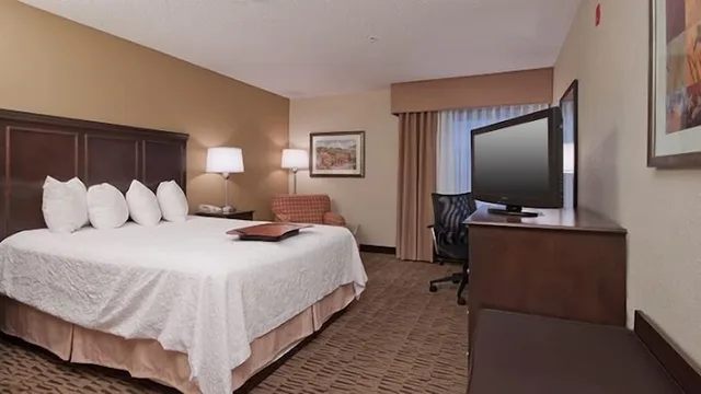 غرفة ديلوكس بسرير كينج، Countryside Inn and Suites 1/3
