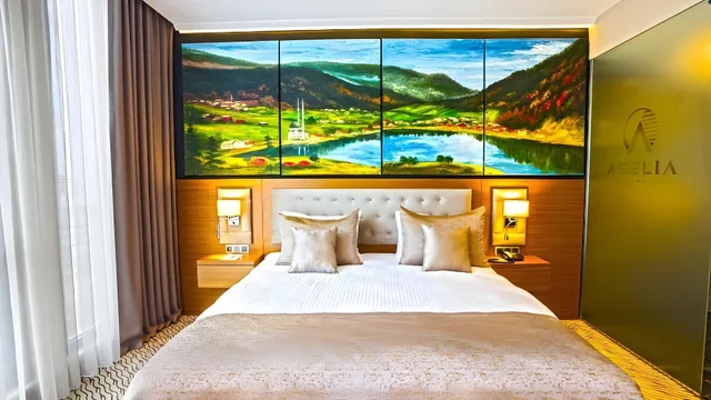 Deluxe, City View, Aselia Hotel Trabzon 1/2