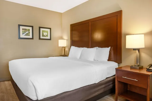 جناح بسرير كينج، Comfort Inn & Suites At Crossplex Village 3/7
