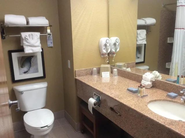1 Bedroom, Suite, King Bed, Hawthorn Suites by Wyndham Corpus Christi 3/3