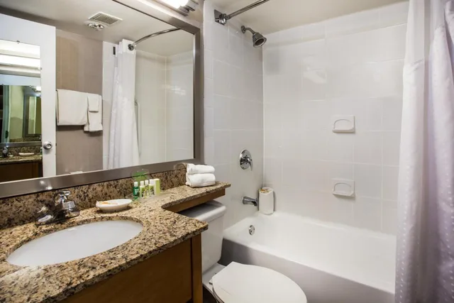 جناح بسرير كينج بغرفة نوم واحدة، Holiday Inn Saratoga Springs 2/4