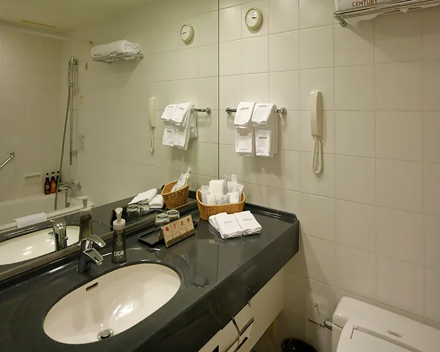غرفة قياسية مفردة بسرير مزدوج، Century Southern Tower 3/4