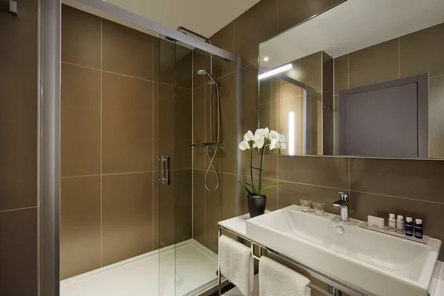 غرفة سوبيريور بسرير كينج، PARK PLAZA NUREMBERG 6/6