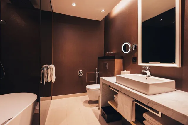 جناح بسرير كينج بإطلالة على الجبل بغرفة نوم واحدة، Crowne Plaza Geneva 5/5