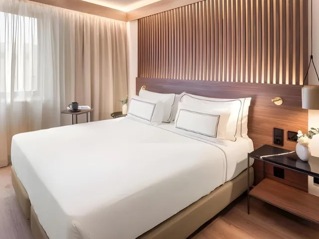 Connecting, the Level, 2 King Beds، Melia Granada 2/9