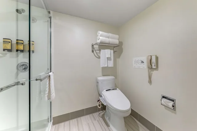 جناح جونيور بسرير كينج بشرفة مع أريكة، Best Western Plus Executive Inn 6/9