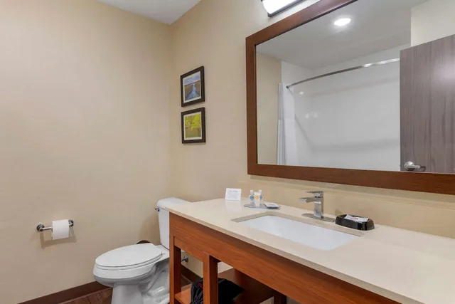 جناح بسرير كينج مع أريكة، Comfort Inn & Suites Mankato, MN 3/3