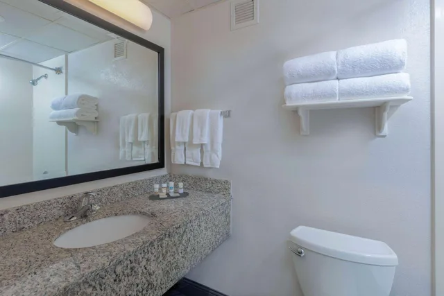 غرفة ديلوكس بسرير كينج مع أريكة، La Quinta Inn & Suites by Wyndham Clifton/Rutherford 5/5