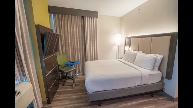 Bridge, Standard, King Bed، Holiday Inn Express Long Island City E New York, an IHG Hotel 3/3