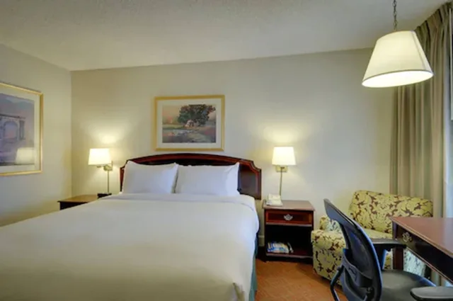 غرفة قياسية بسرير كينج، Vagabond Inn Executive San Francisco Airport 7/7