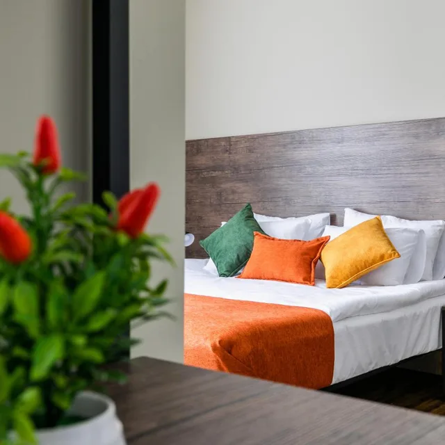 غرفة ديلوكس بسرير مزدوج بشرفة، Boutique Hotel MoJo 4/6