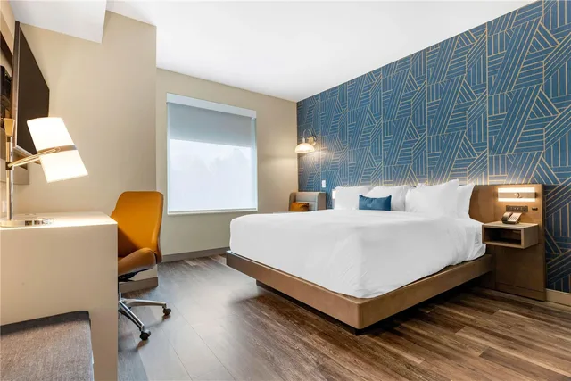 غرفة بسرير كينج بحوض استحمام لذوي الإعاقة، DoubleTree by Hilton Summerville Nexton 1/1