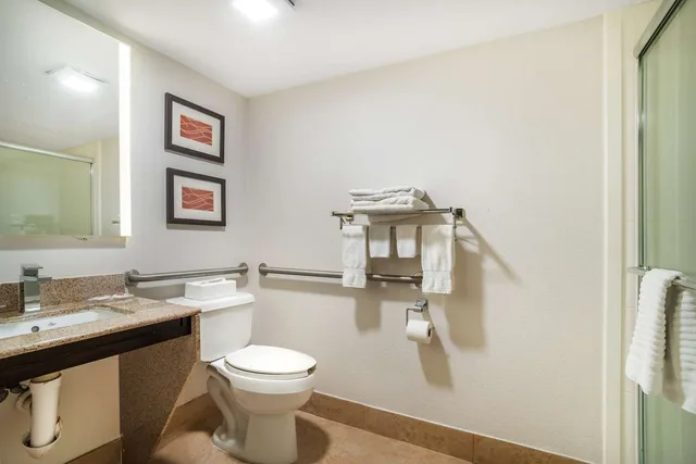 غرفة بسرير كينج لذوي الإعاقة، Comfort Inn & Suites Cornelius Lake Norman NC 2/2