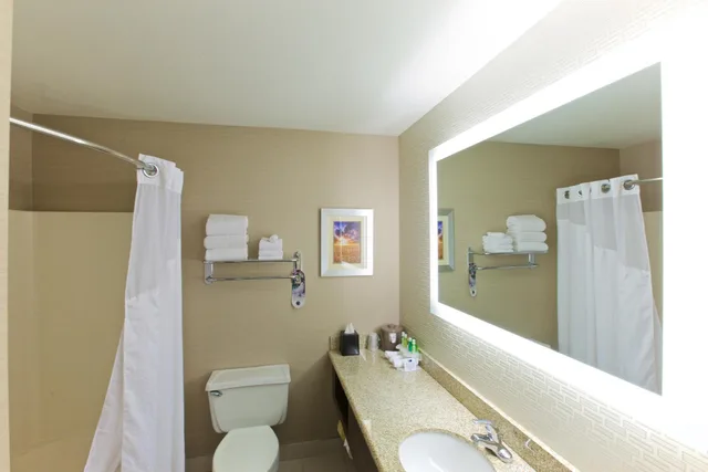 غرفة تنفيذية بسرير كينج مع أريكة، Holiday Inn Express Fargo-West Acres 1/4
